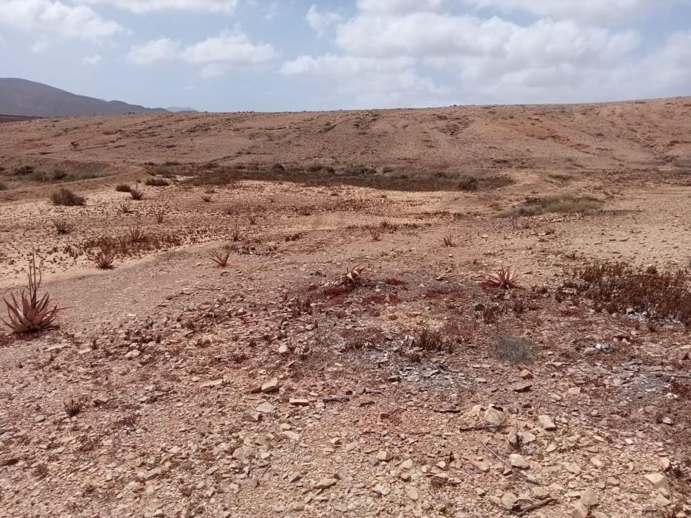 KaZa Hogar
