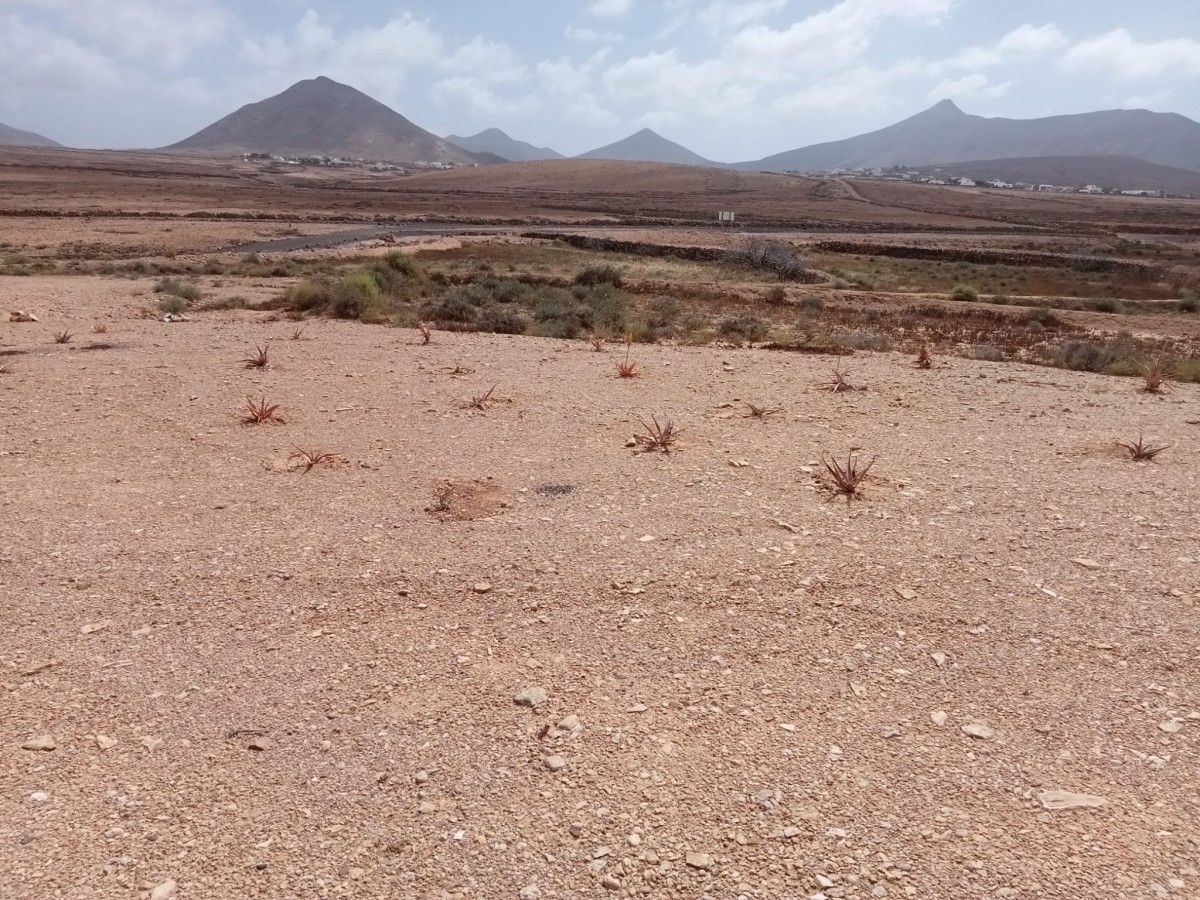 Grundstück in Tindaya zu verkaufen, Fuerteventura, Tindaya