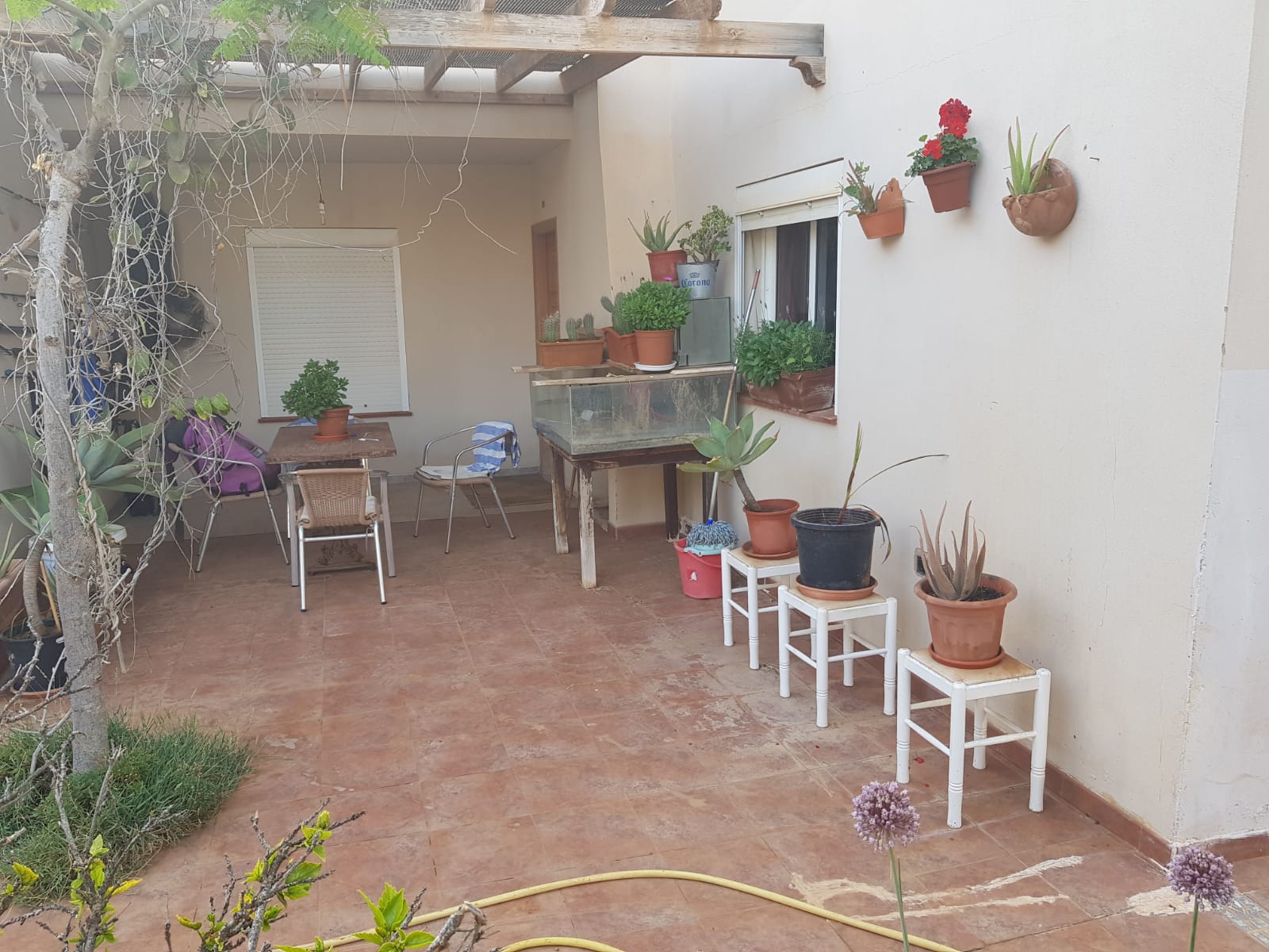 PHOTO-2025-07-27-19-53-00 (2)