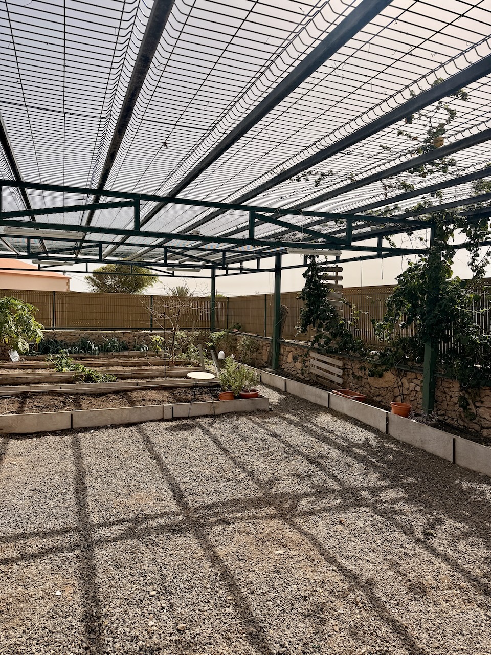 Foto 12-03-26, 11 15 21