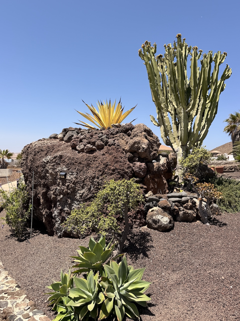 Foto 11-06-26, 12 45 02 Exclusive Villa with Sea Views in Parque Holandés – Privacy, Space and Canary Island Charm