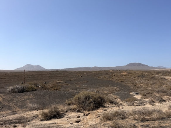 Two rustic plots for sale together in La Oliva – approx. 13,000 m²