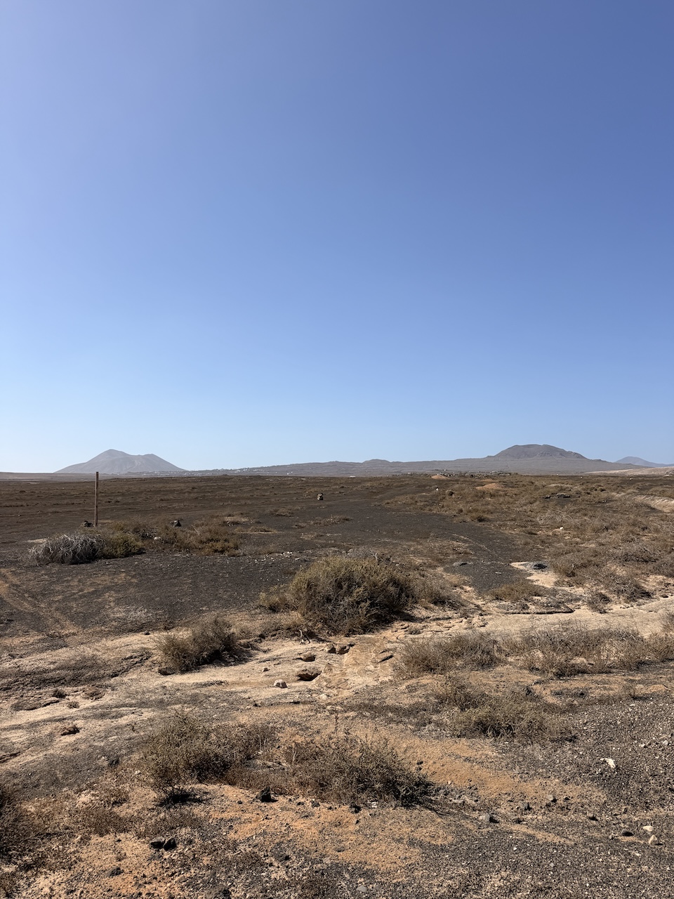 Two rustic plots for sale together in La Oliva – approx. 13,000 m²