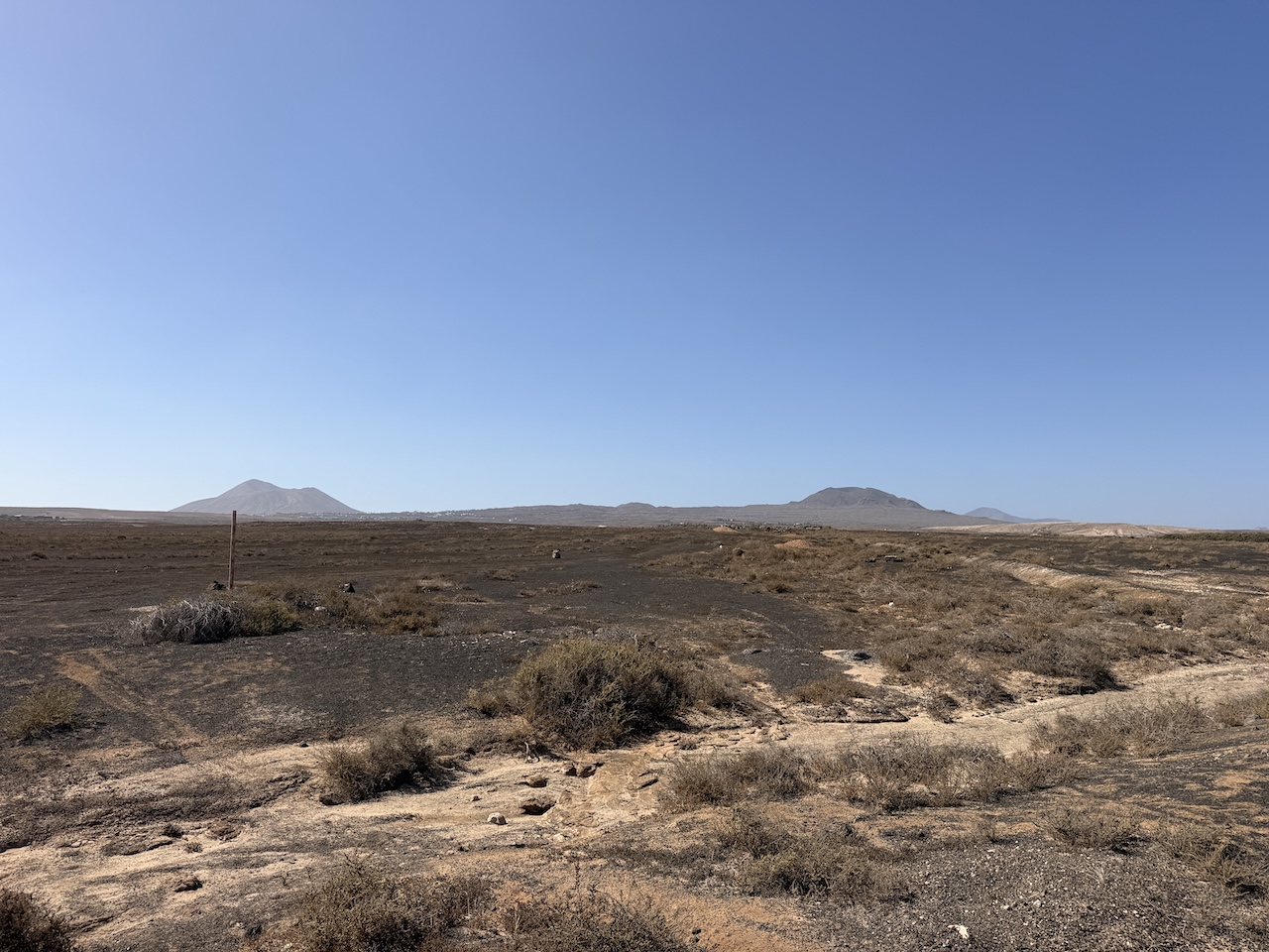 Two rustic plots for sale together in La Oliva – approx. 13,000 m²