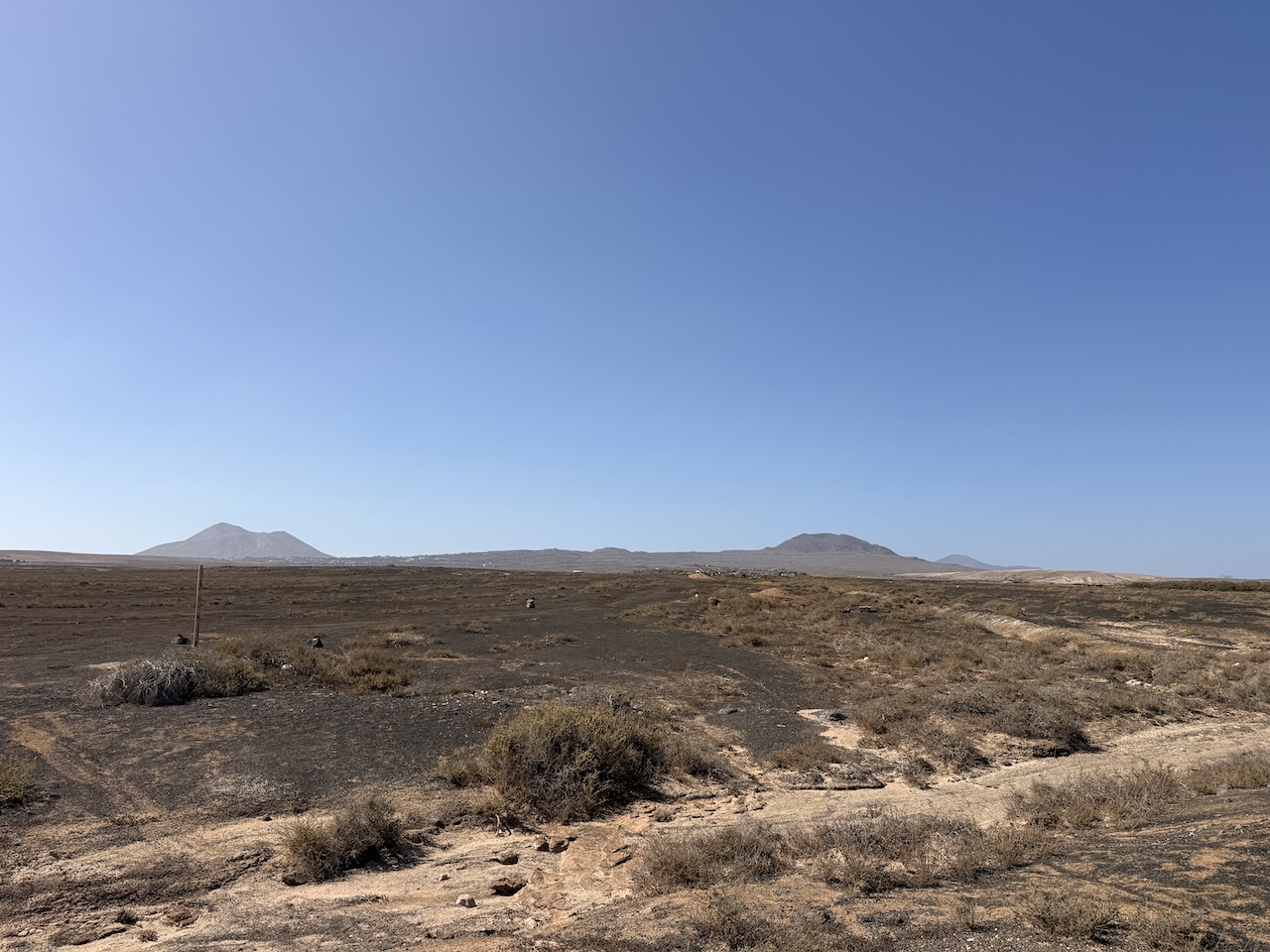 Two rustic plots for sale together in La Oliva – approx. 13,000 m²