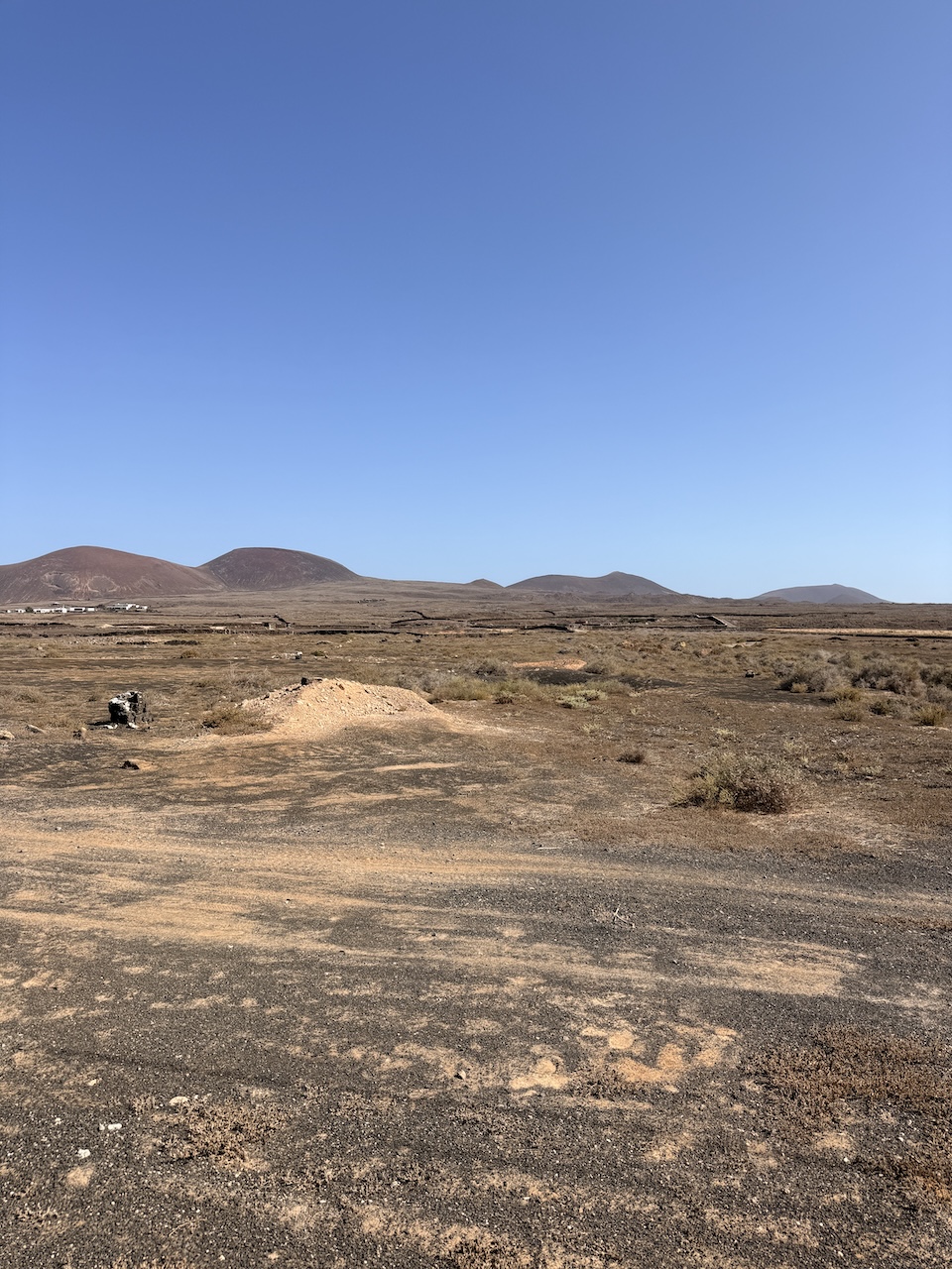 Two rustic plots for sale together in La Oliva – approx. 13,000 m²