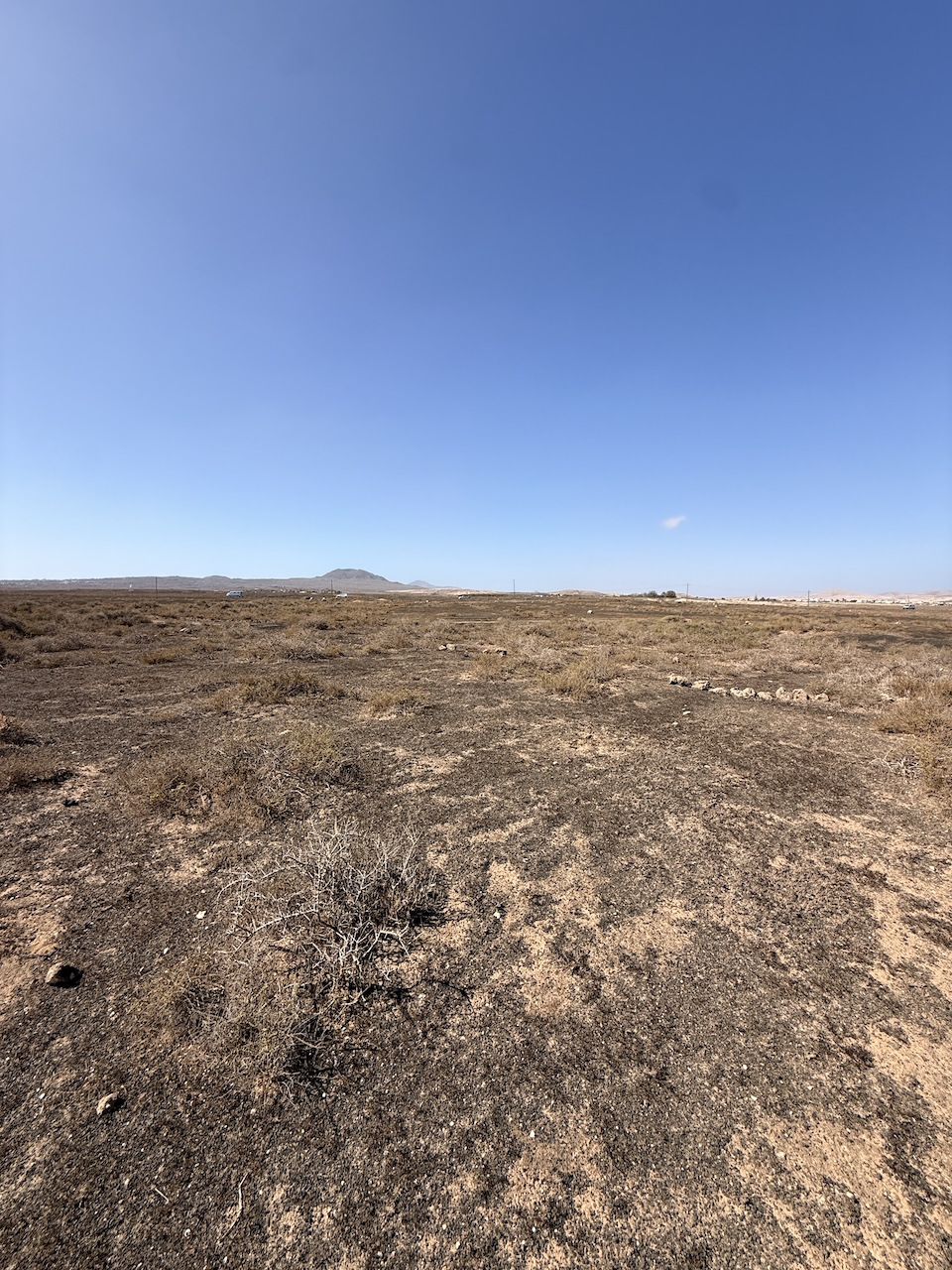 Two rustic plots for sale together in La Oliva – approx. 13,000 m²