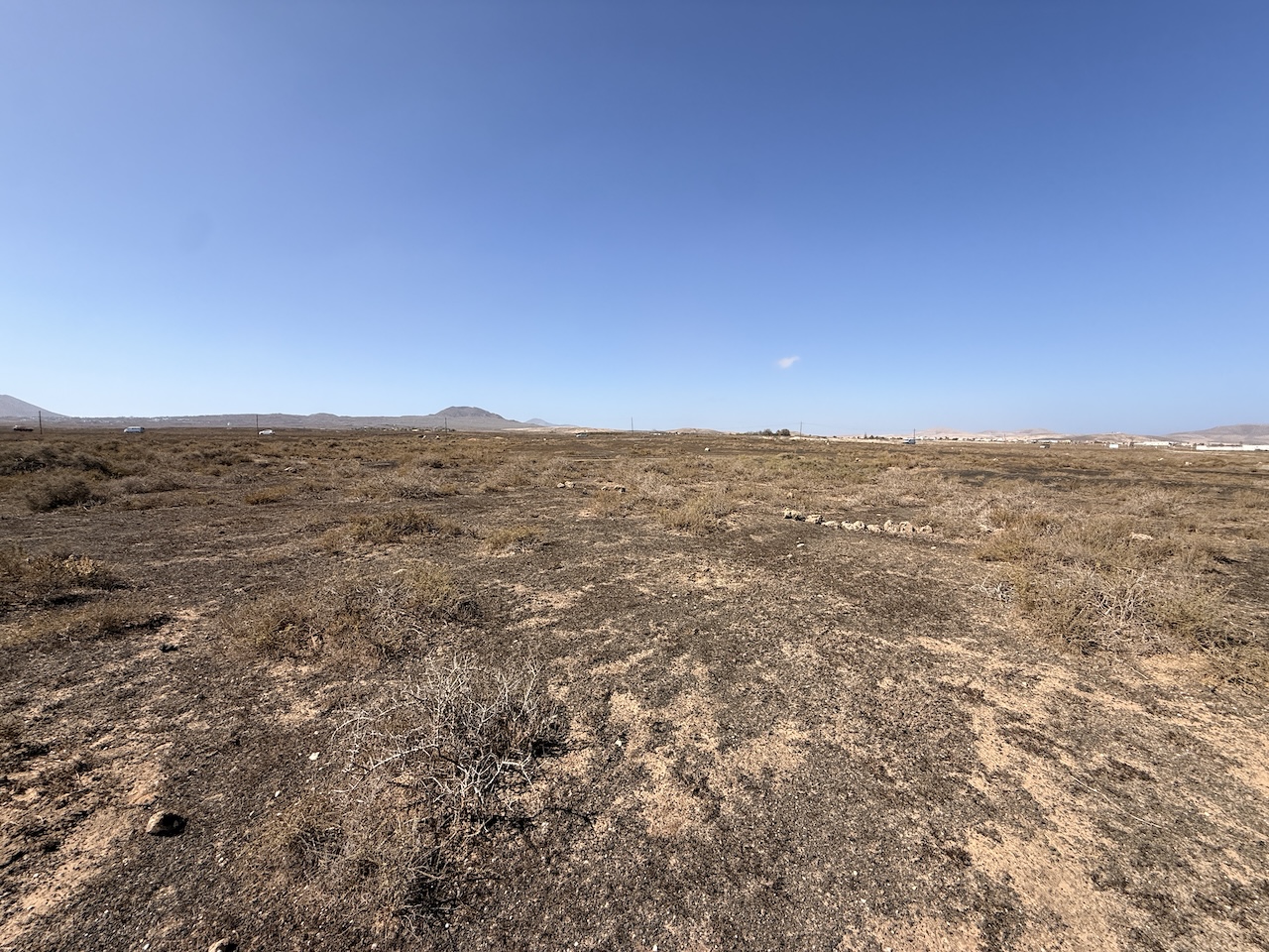 Two rustic plots for sale together in La Oliva – approx. 13,000 m²