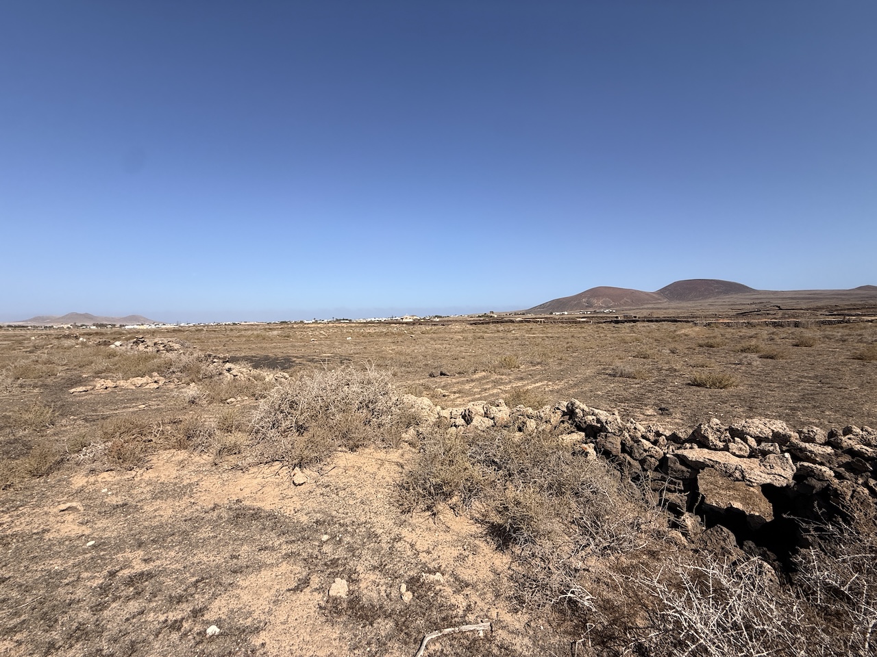 Two rustic plots for sale together in La Oliva – approx. 13,000 m²