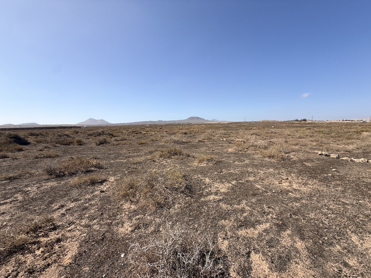 Two rustic plots for sale together in La Oliva – approx. 13,000 m²