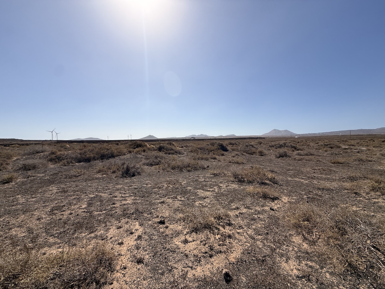 Two rustic plots for sale together in La Oliva – approx. 13,000 m²