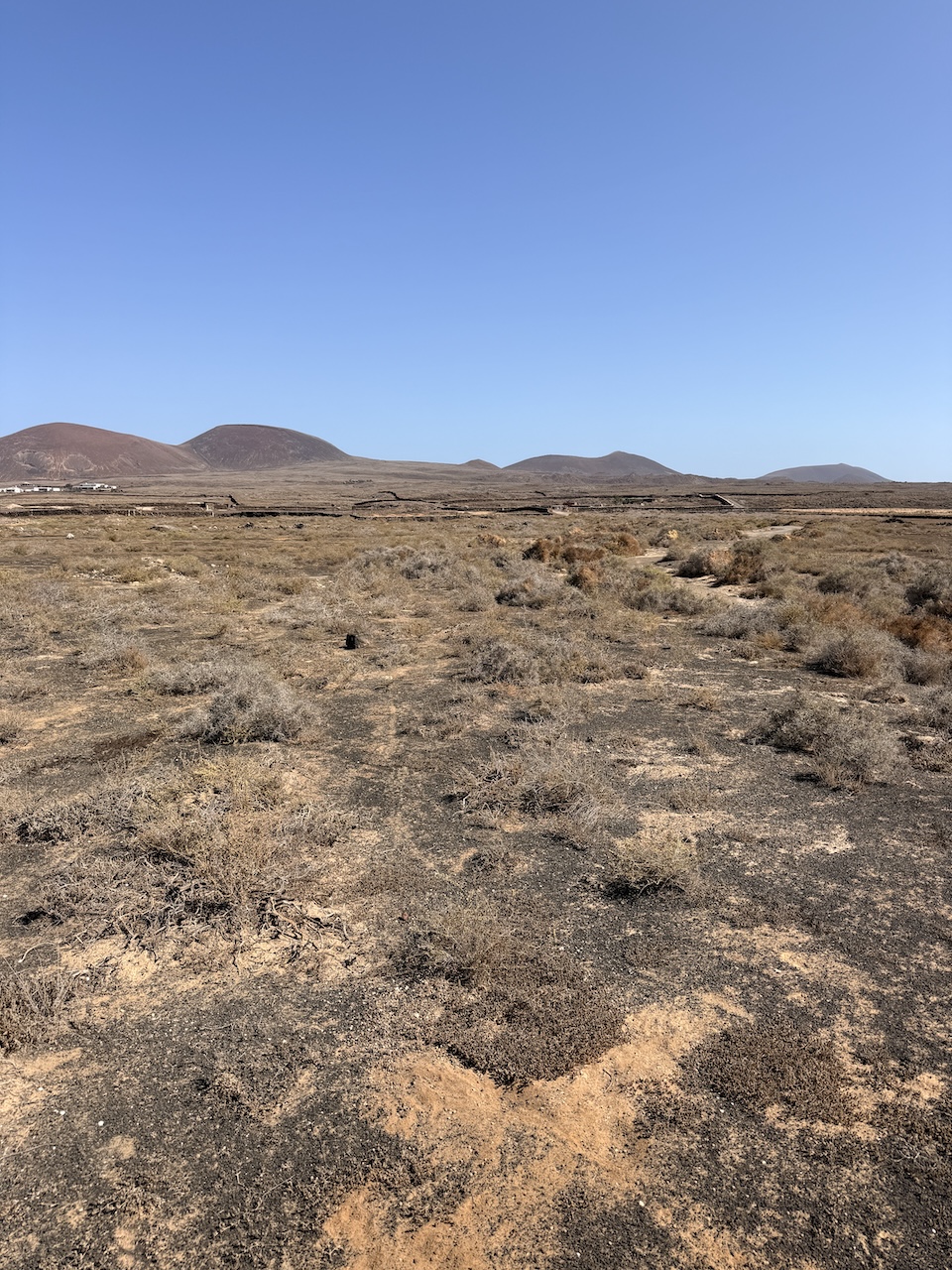 Two rustic plots for sale together in La Oliva – approx. 13,000 m²