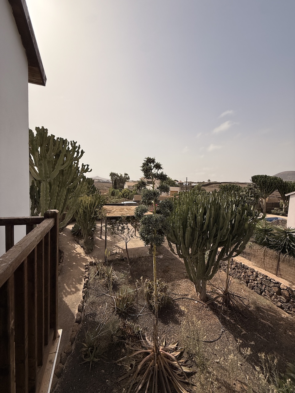 Detached villa with private pool in La Oliva
