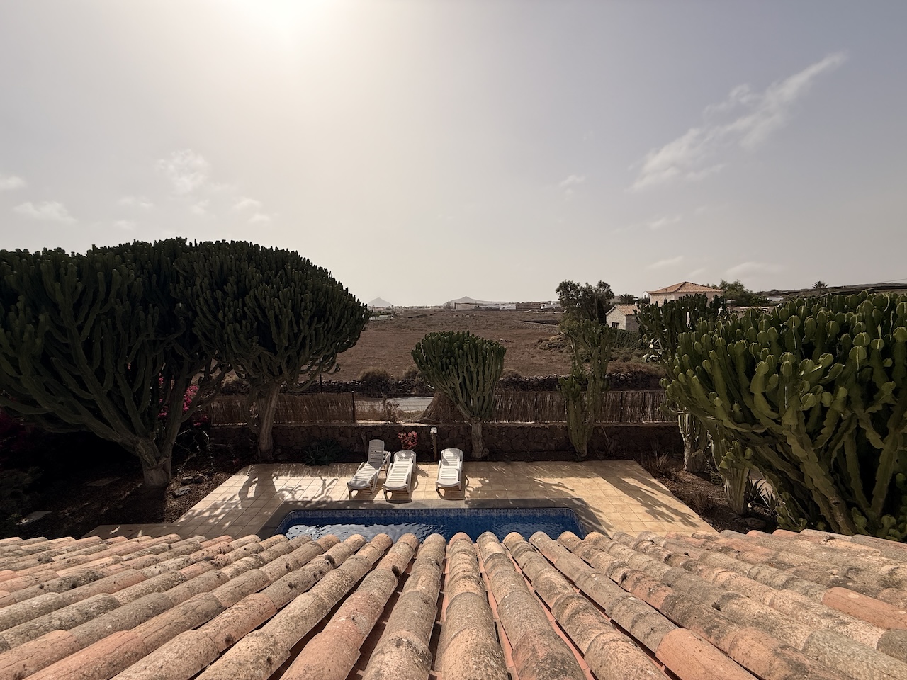 Detached villa with private pool in La Oliva