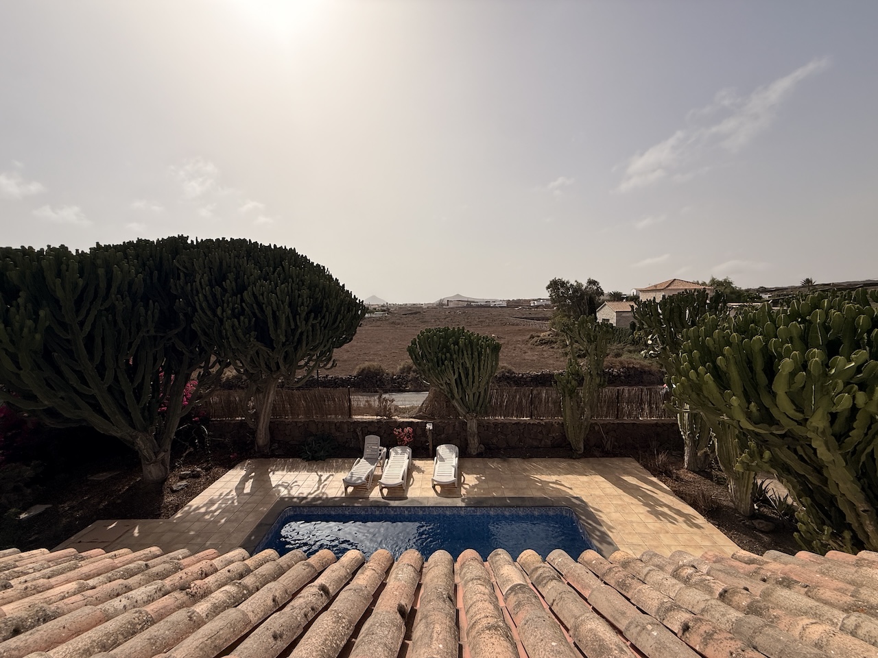 Detached villa with private pool in La Oliva