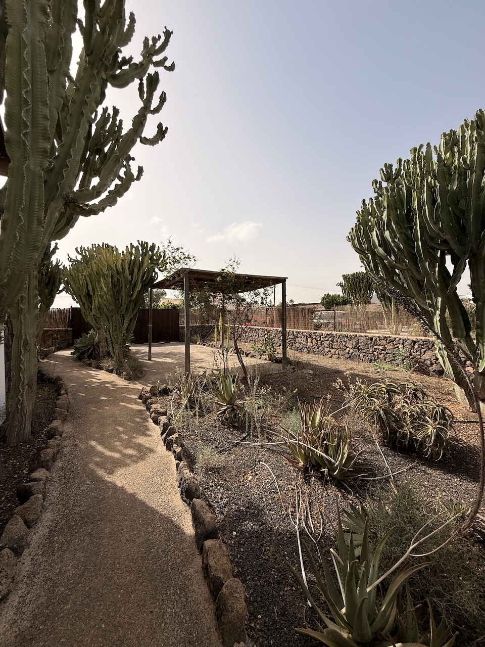 Detached villa with private pool in La Oliva