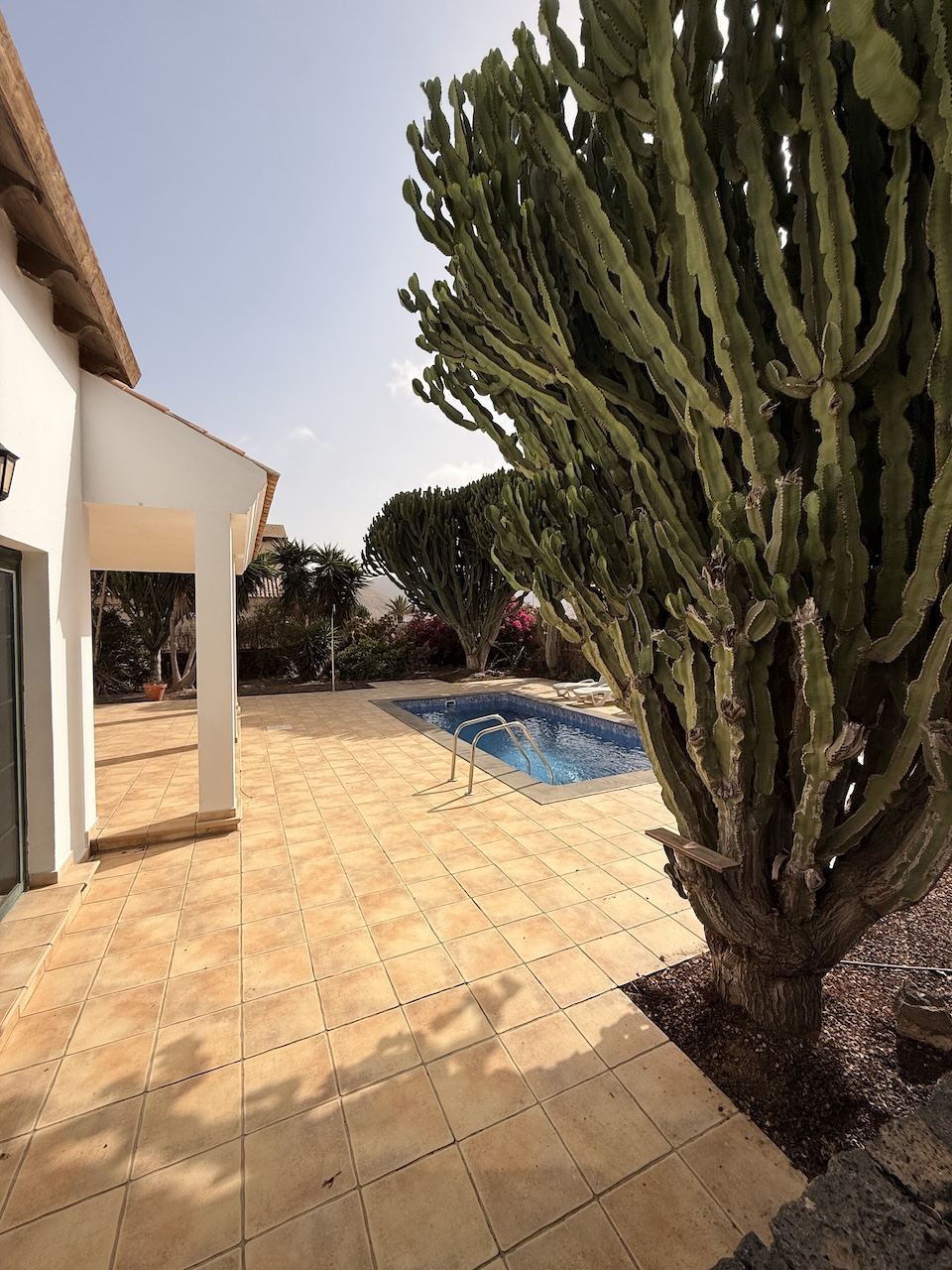 Detached villa with private pool in La Oliva
