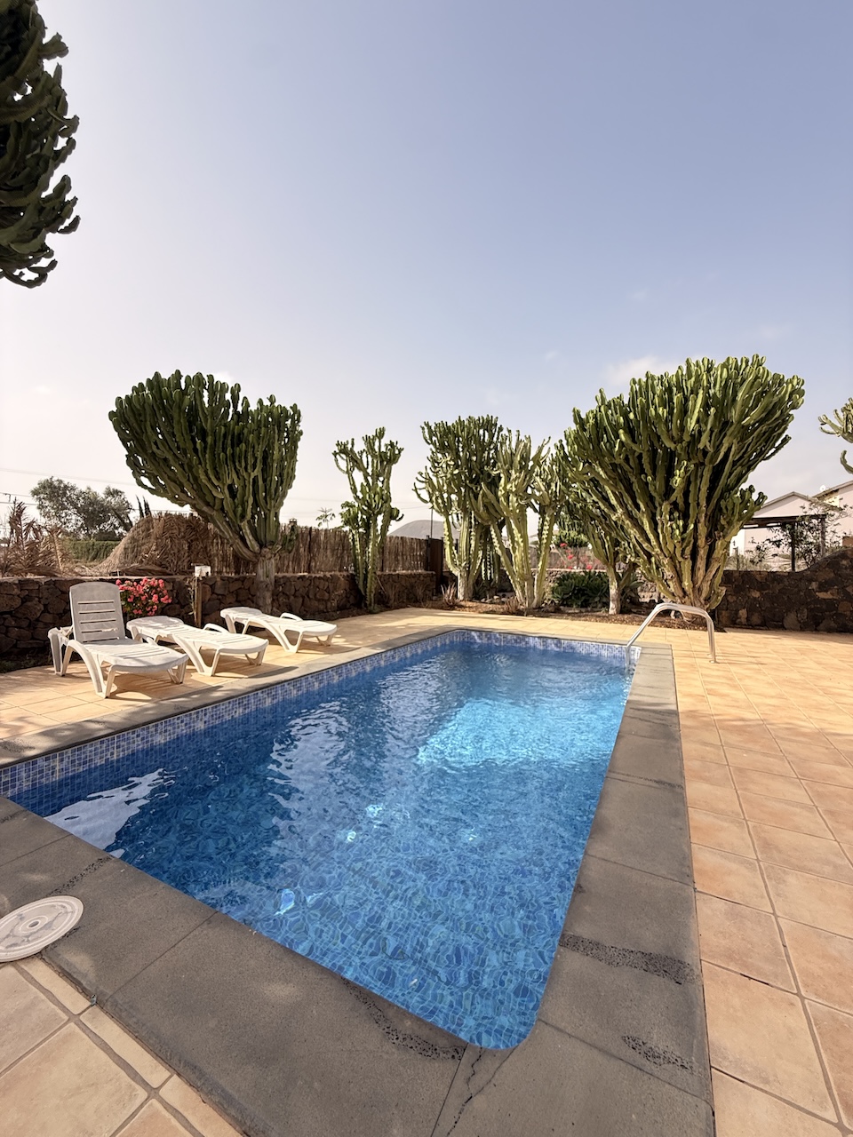 Detached villa with private pool in La Oliva