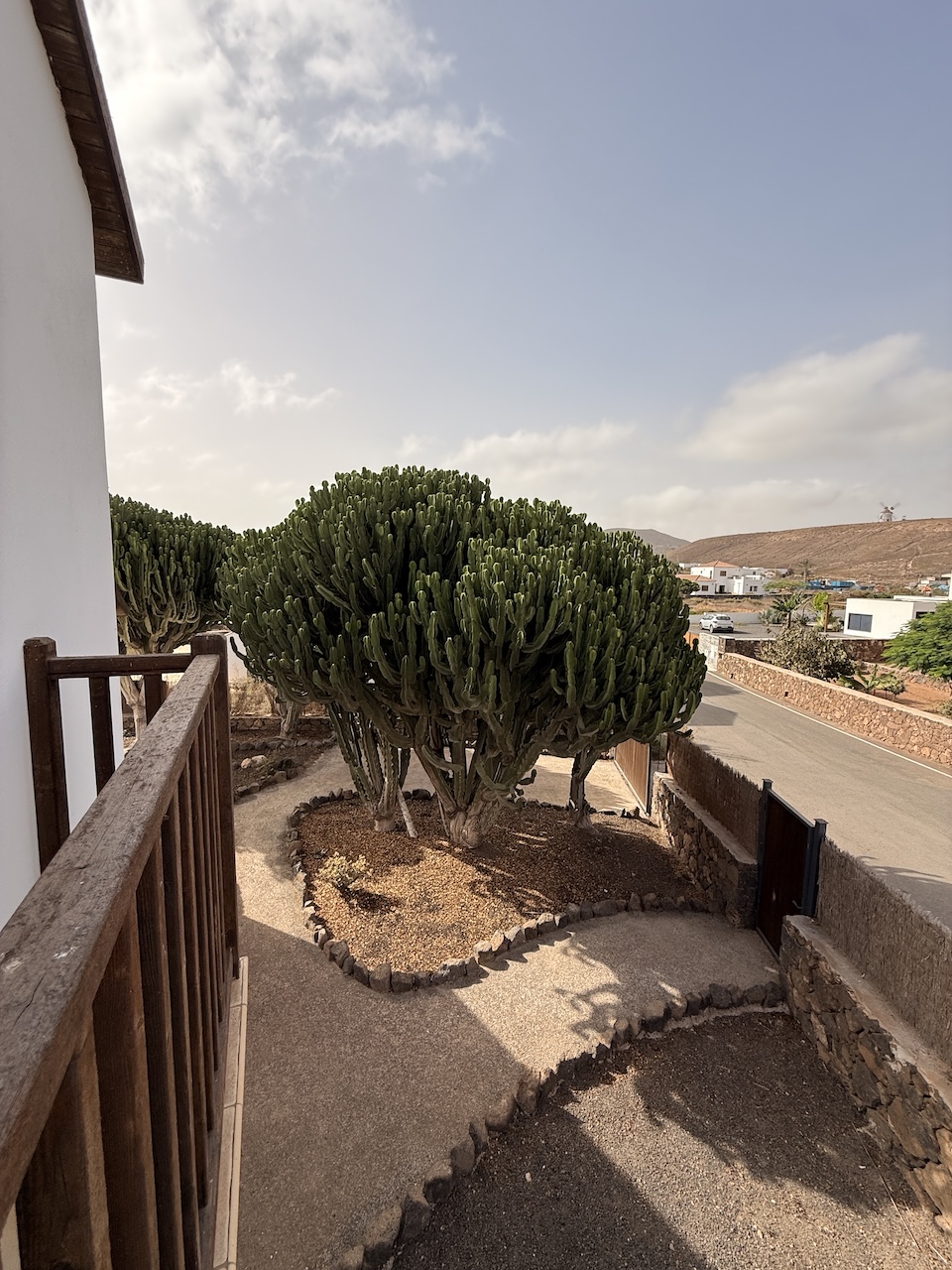 Detached villa with private pool in La Oliva